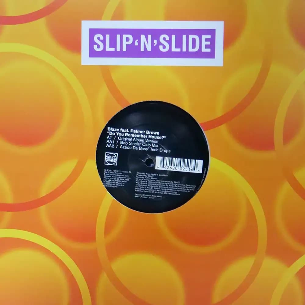 Blaze, Palmer Brown – Do You Remember House? (Vinilo usado VG+) - Miniatura 1 en LEMM DJ Store