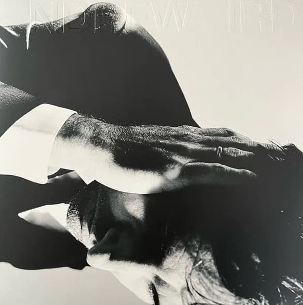 Andrew Bird - Inside Problems (Vinilo LP nuevo) - Miniatura 1 en LEMM DJ Store