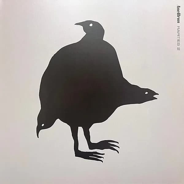 Ane Brun - Rarities 2 (Vinilo Doble 2LP nuevo) - Miniatura 1 en LEMM DJ Store