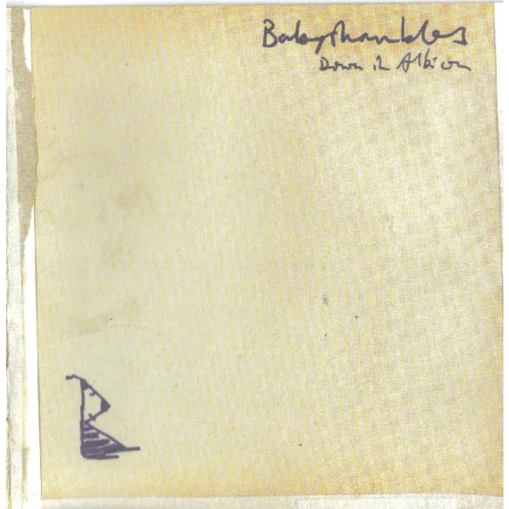 Babyshambles - Down In Albion (CD nuevo) - Miniatura 1 en LEMM DJ Store