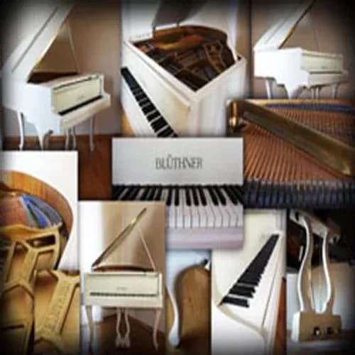 Best Service Galaxy II German Baby Grand – piano de cola Blüthner de 1929 con sonido vintage (Descarga Digital) - Miniatura 1 en LEMM DJ Store