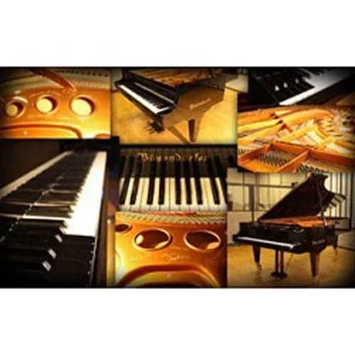 Best Service Galaxy II Vienna Grand – el gran piano de cola Bösendorfer Imperial 290 muestreado (Descarga Digital) - Miniatura 1 en LEMM DJ Store