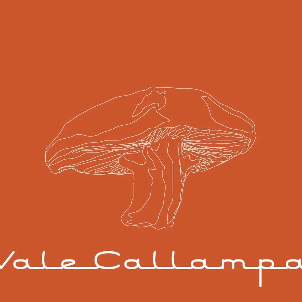 Cafe Tacuba - Vale Callampa (CD nuevo) - Miniatura 1 en LEMM DJ Store