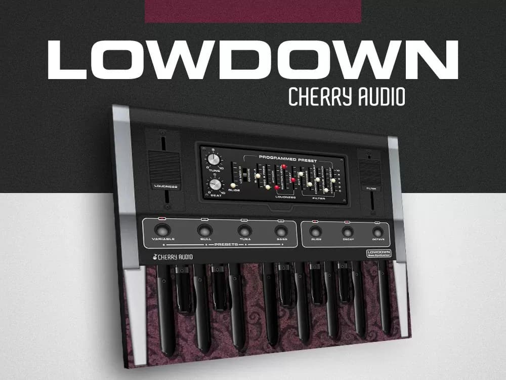 Cherry Audio Lowdown – Sintetizador de Bajo Virtual (Descarga Digital) - Miniatura 1 en LEMM DJ Store