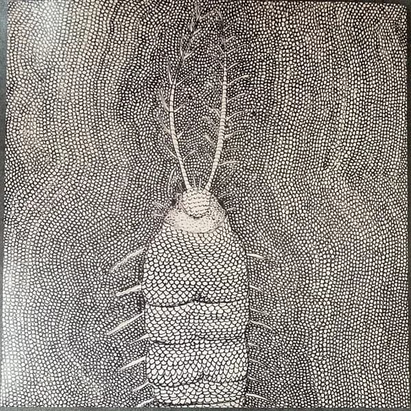 Daniel Melero - Qualia / Micrografía (Vinilo LP nuevo) - Miniatura 1 en LEMM DJ Store