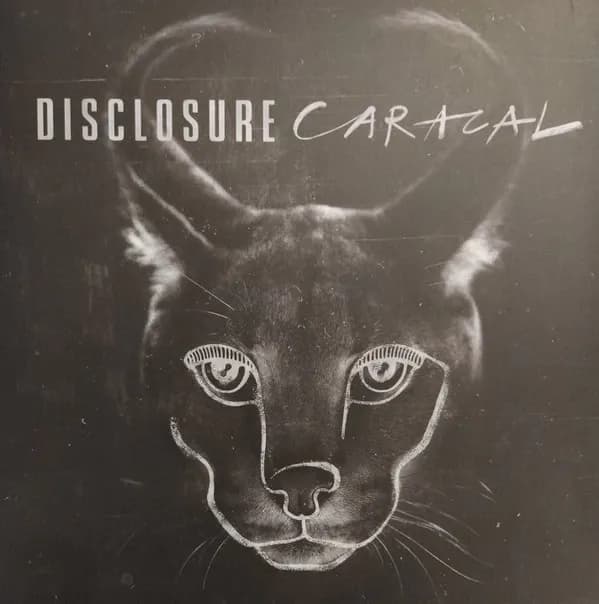 Disclosure - Caracal (Vinilo Doble 2LP nuevo) - Miniatura 1 en LEMM DJ Store