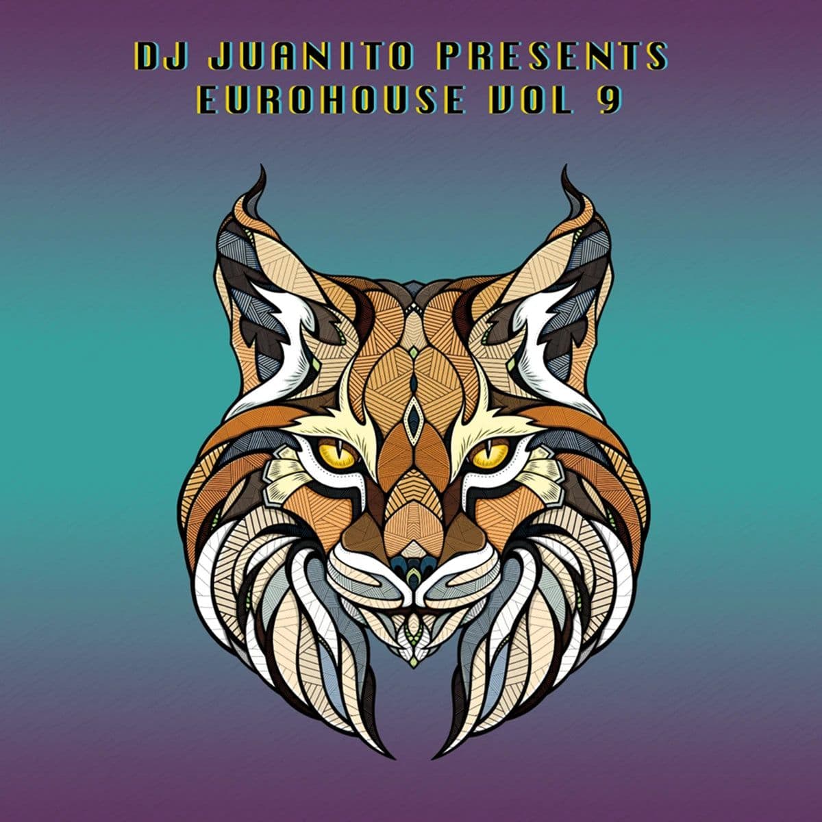 Dj Juanito Presents Euro House Vol 9 (Vinilo Nuevo) (formato europeo sin sellado plastico) - Miniatura 1 en LEMM DJ Store