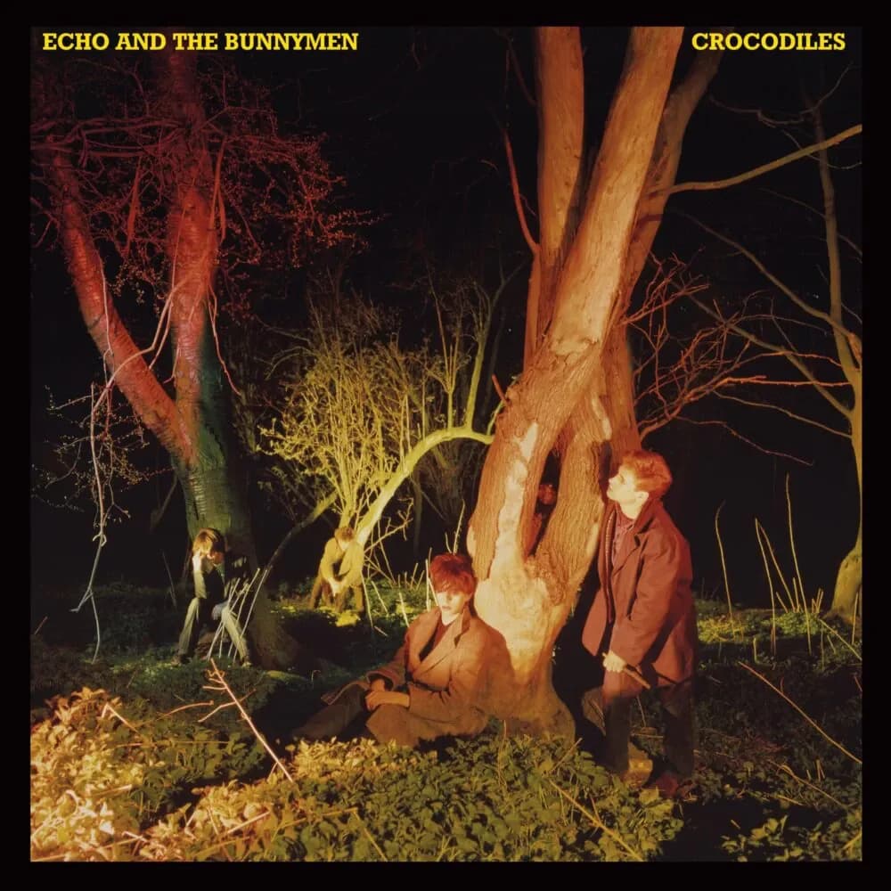 Echo And The Bunnymen - Crocodiles (Vinilo LP nuevo) - Miniatura 1 en LEMM DJ Store