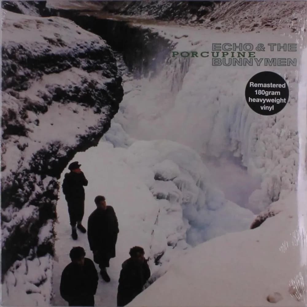 Echo & The Bunnymen - Porcupine (Vinilo LP nuevo) - Miniatura 1 en LEMM DJ Store