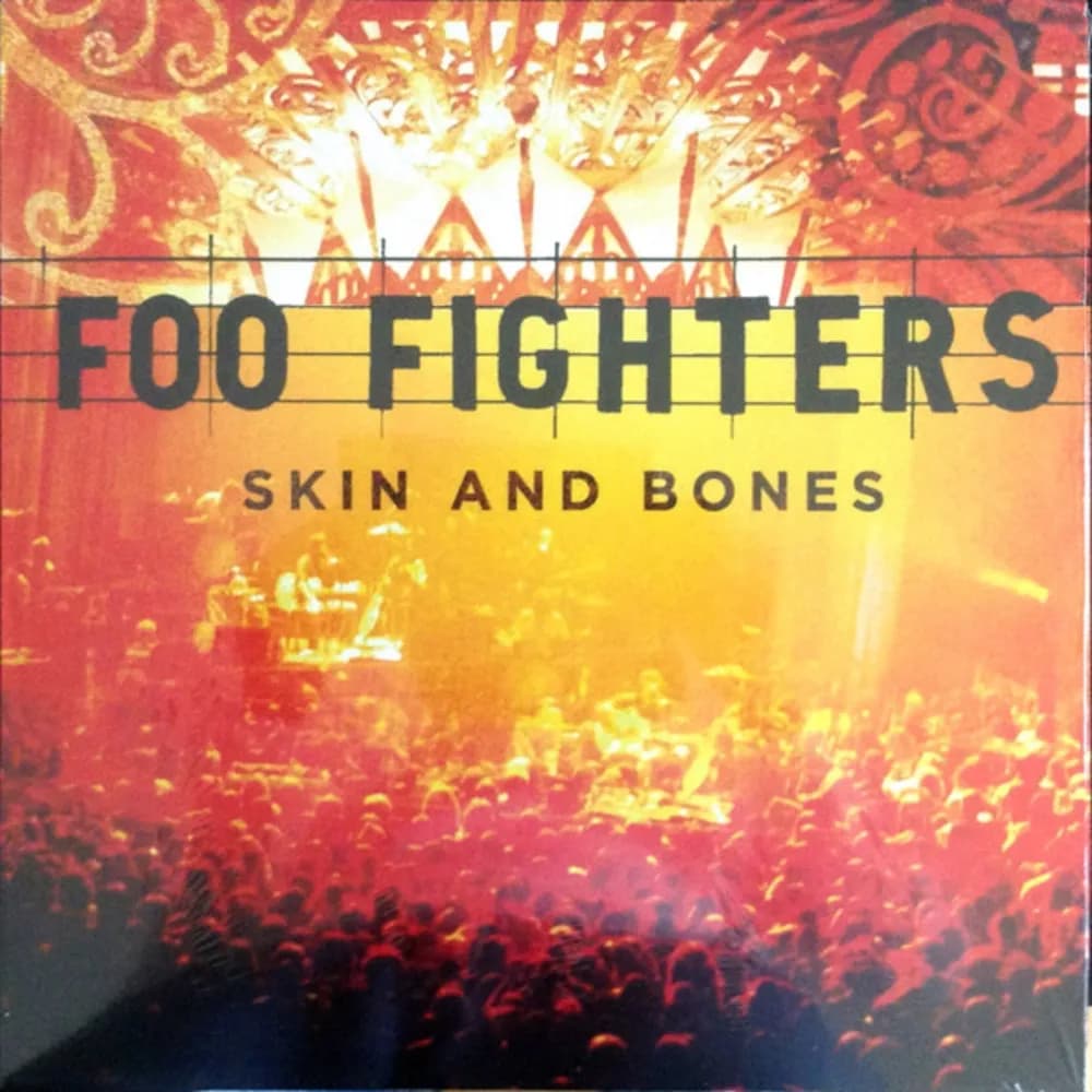Foo Fighters - Skin And Bones (LP nuevo) - Miniatura 1 en LEMM DJ Store