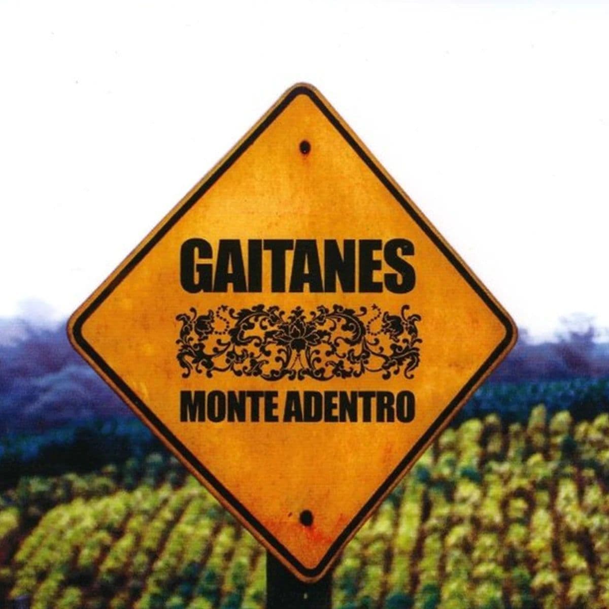 Gaitanes – Monte Adentro (CD Album usado) (VG+) box 2 - Miniatura 1 en LEMM DJ Store