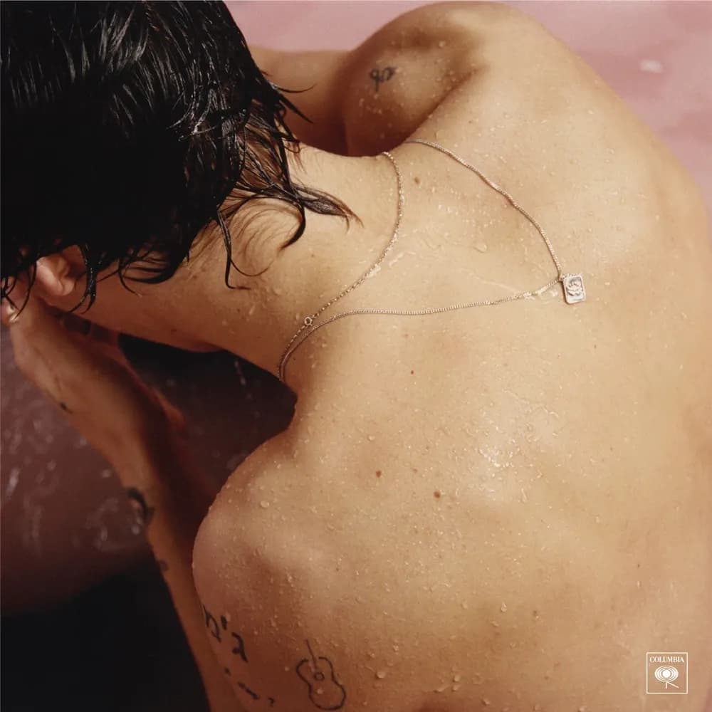 Harry Styles - Harry Styles (Vinilo LP nuevo) - Miniatura 1 en LEMM DJ Store