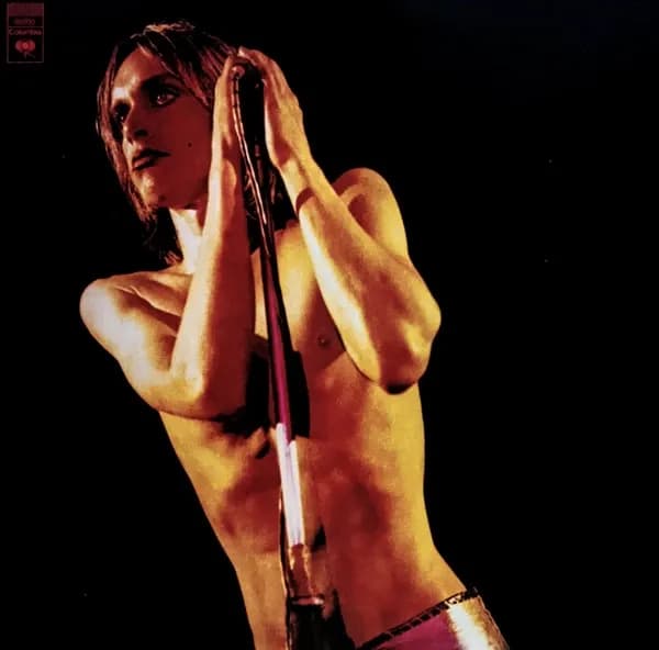 Iggy And The Stooges - Raw Power (Vinilo Doble 2LP nuevo) - Miniatura 1 en LEMM DJ Store