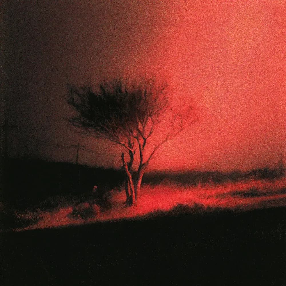 Joji - Piss In The Wind (Vinilo LP nuevo) - Miniatura 1 en LEMM DJ Store