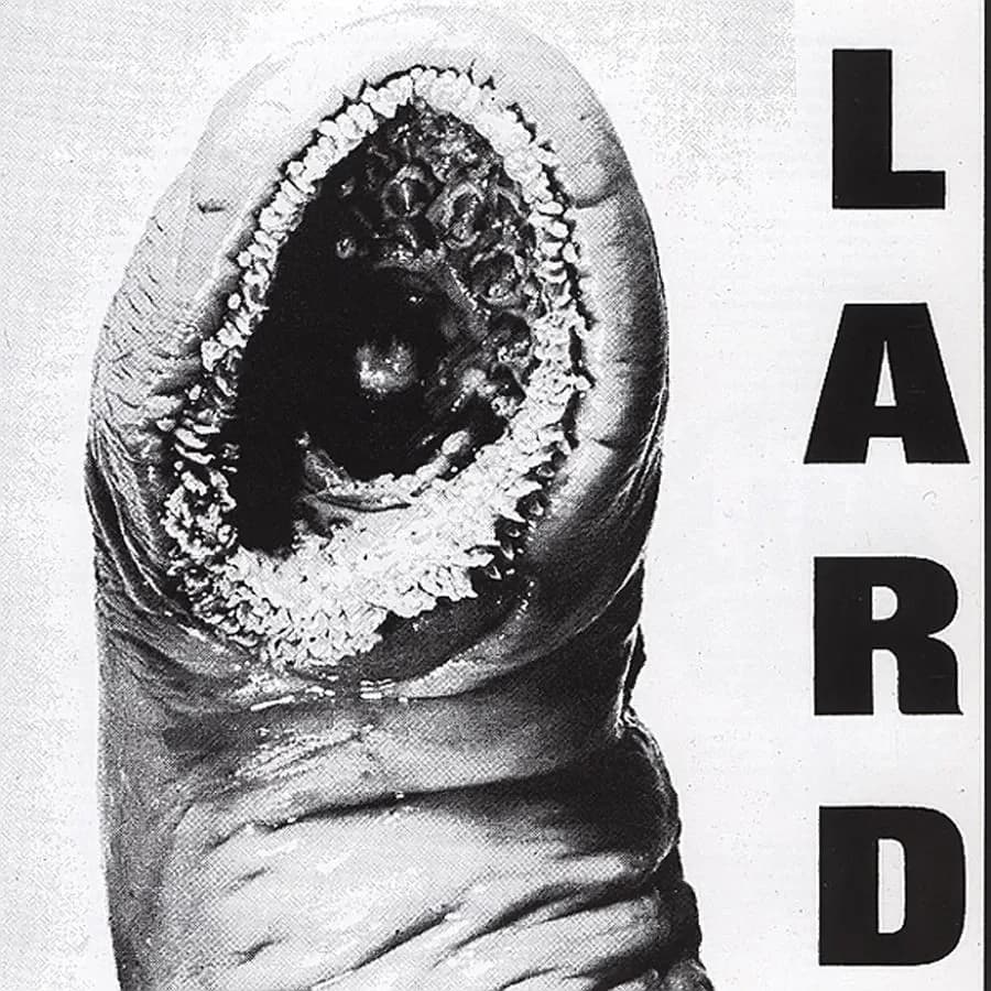 Lard - Power Of Lard EP (Vinilo LP nuevo) - Miniatura 1 en LEMM DJ Store
