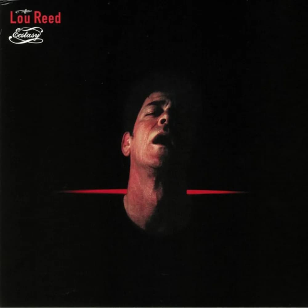 Lou Reed - Ecstasy (2LP nuevo) - Miniatura 1 en LEMM DJ Store