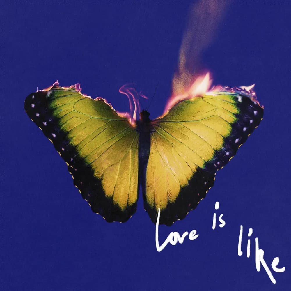 Maroon 5 - Love Is Like (Vinilo LP nuevo) - Miniatura 1 en LEMM DJ Store
