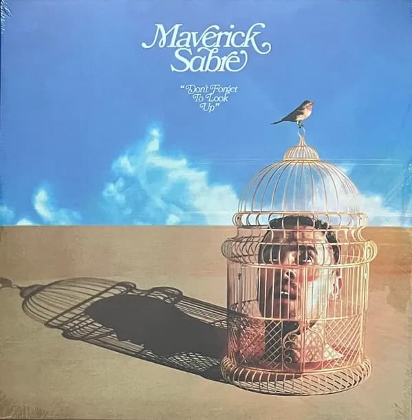 Maverick Sabre - Don't Forget To Look Up (Vinilo LP nuevo) - Miniatura 1 en LEMM DJ Store