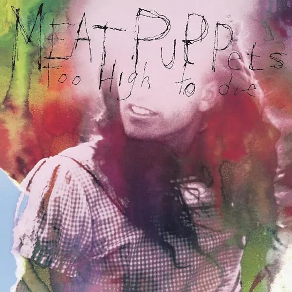 Meat Puppets - Too High To Die (Vinilo LP nuevo) - Miniatura 1 en LEMM DJ Store