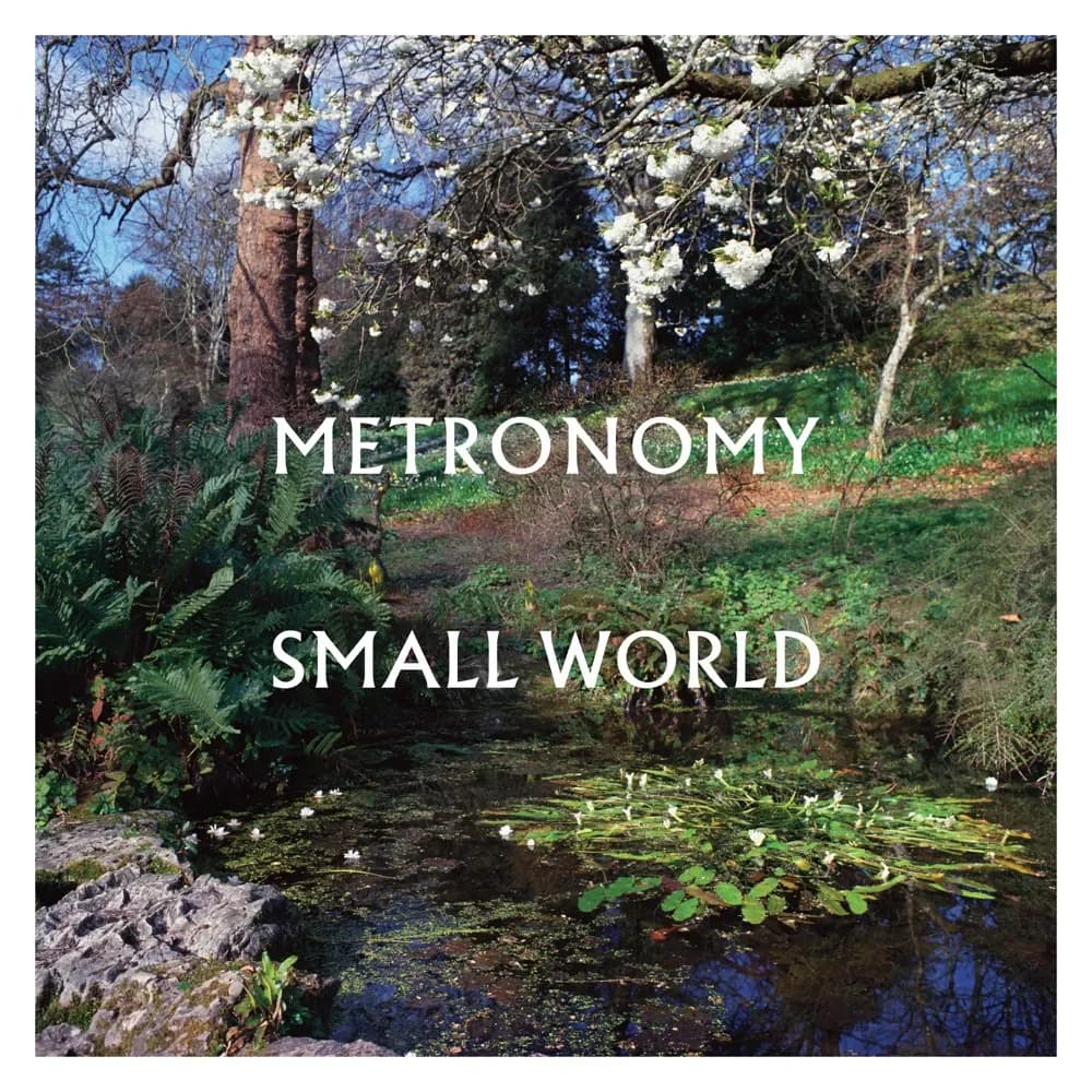 Metronomy - Small World (Vinilo LP nuevo) - Miniatura 1 en LEMM DJ Store