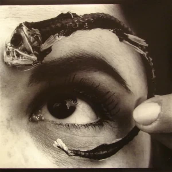 Mr. Bungle - Disco Volante (Vinilo Doble 2LP Color Azul nuevo) - Miniatura 1 en LEMM DJ Store
