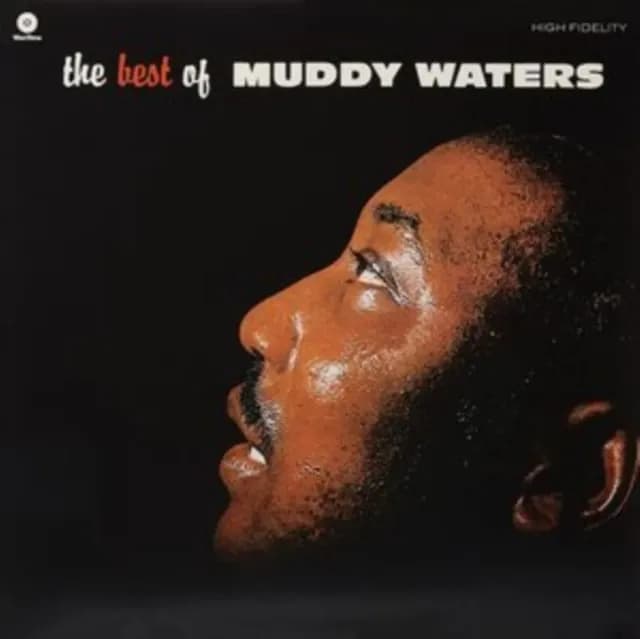 Muddy Waters - The Best Of Muddy Waters (Vinilo LP nuevo) - Miniatura 1 en LEMM DJ Store