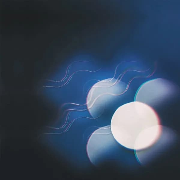 Mutual Benefit - Thunder Follows The Light (Vinilo LP nuevo) - Miniatura 1 en LEMM DJ Store