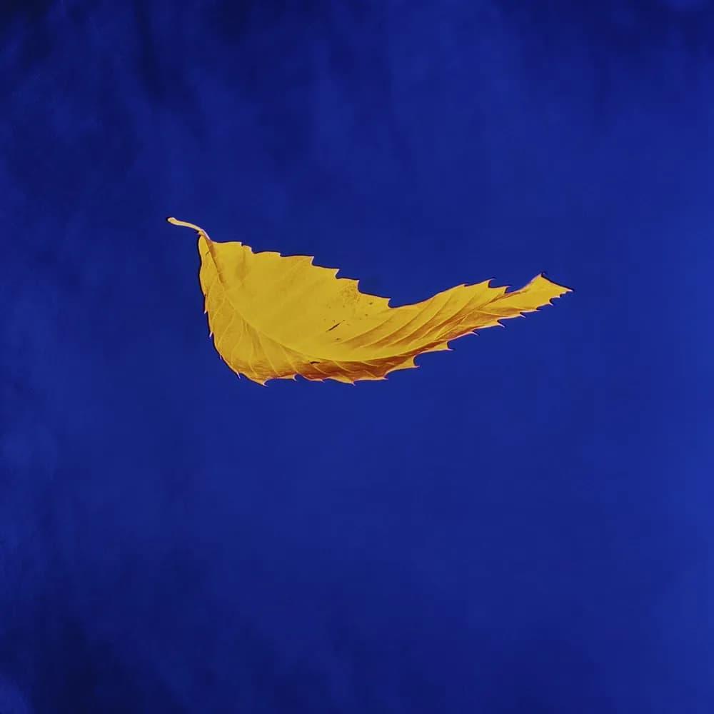 New Order - True Faith / 1963 (Vinilo LP nuevo) - Miniatura 1 en LEMM DJ Store