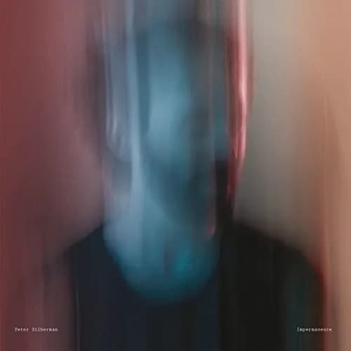 Peter Silberman - Impermanence (Vinilo LP nuevo) - Miniatura 1 en LEMM DJ Store