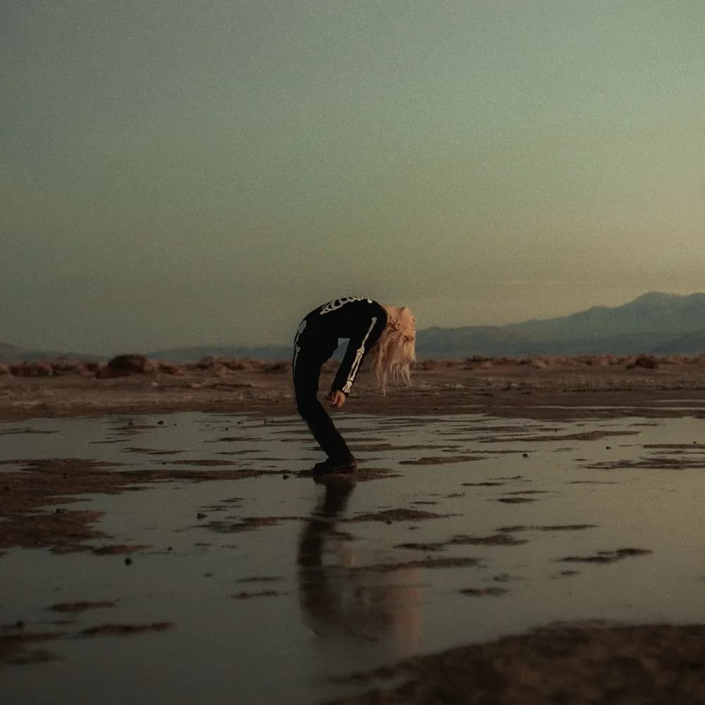 Phoebe Bridgers & Rob Moose - Copycat Killer (Vinilo LP nuevo) - Miniatura 1 en LEMM DJ Store