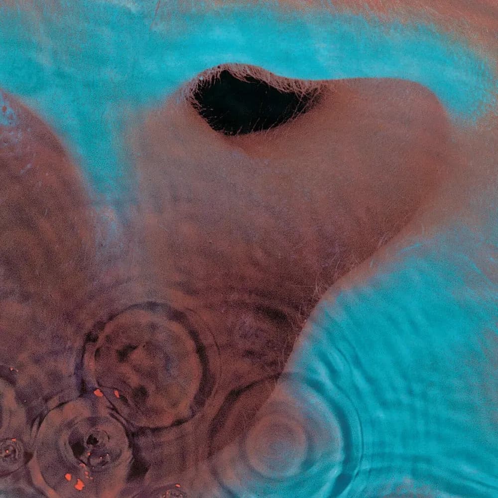 Pink Floyd - Meddle (CD nuevo) - Miniatura 1 en LEMM DJ Store