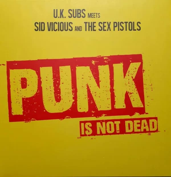 Punk Is Not Dead - Punk Is Not Dead (Vinilo LP nuevo) - Miniatura 1 en LEMM DJ Store