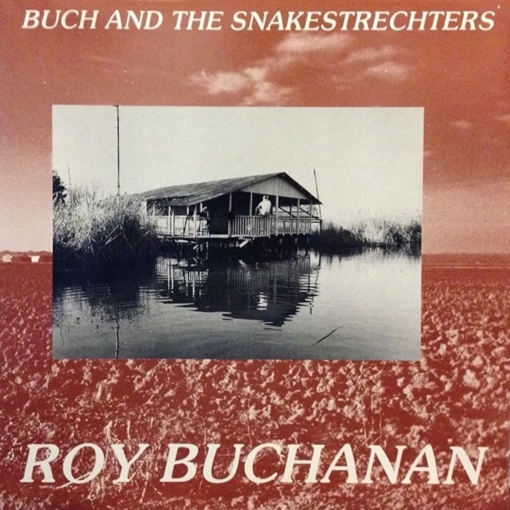 Roy Buchanan - Roy Buchanan & the Snakestretchers (LP nuevo) - Miniatura 1 en LEMM DJ Store