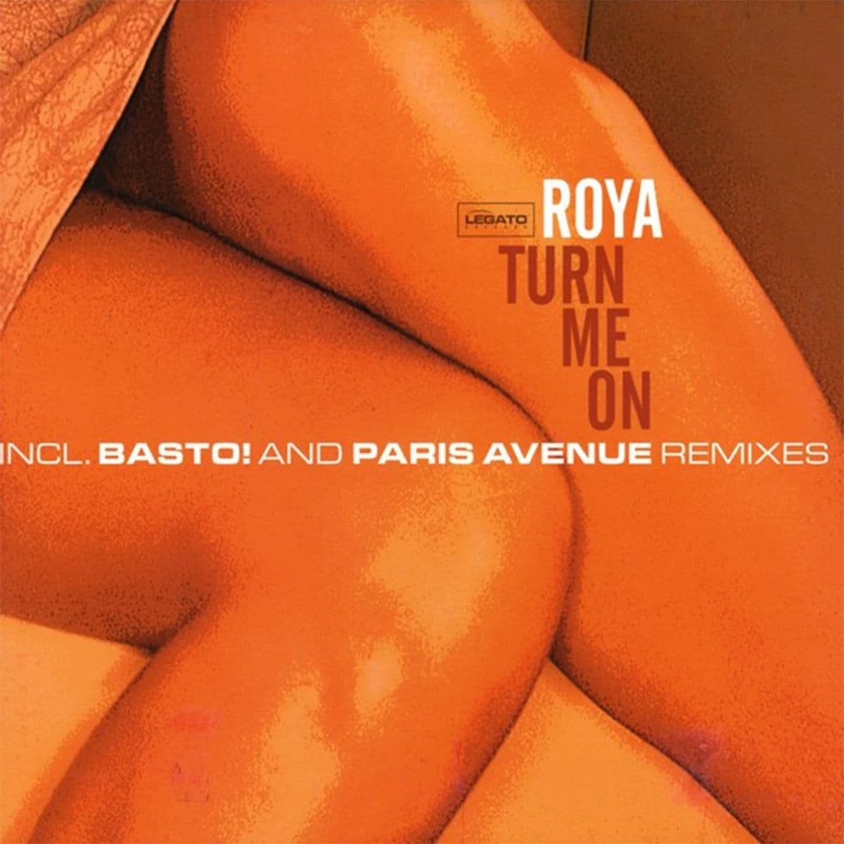 Roya – Turn Me On (Vinilo usado) (VG+) Box 3 - Miniatura 1 en LEMM DJ Store