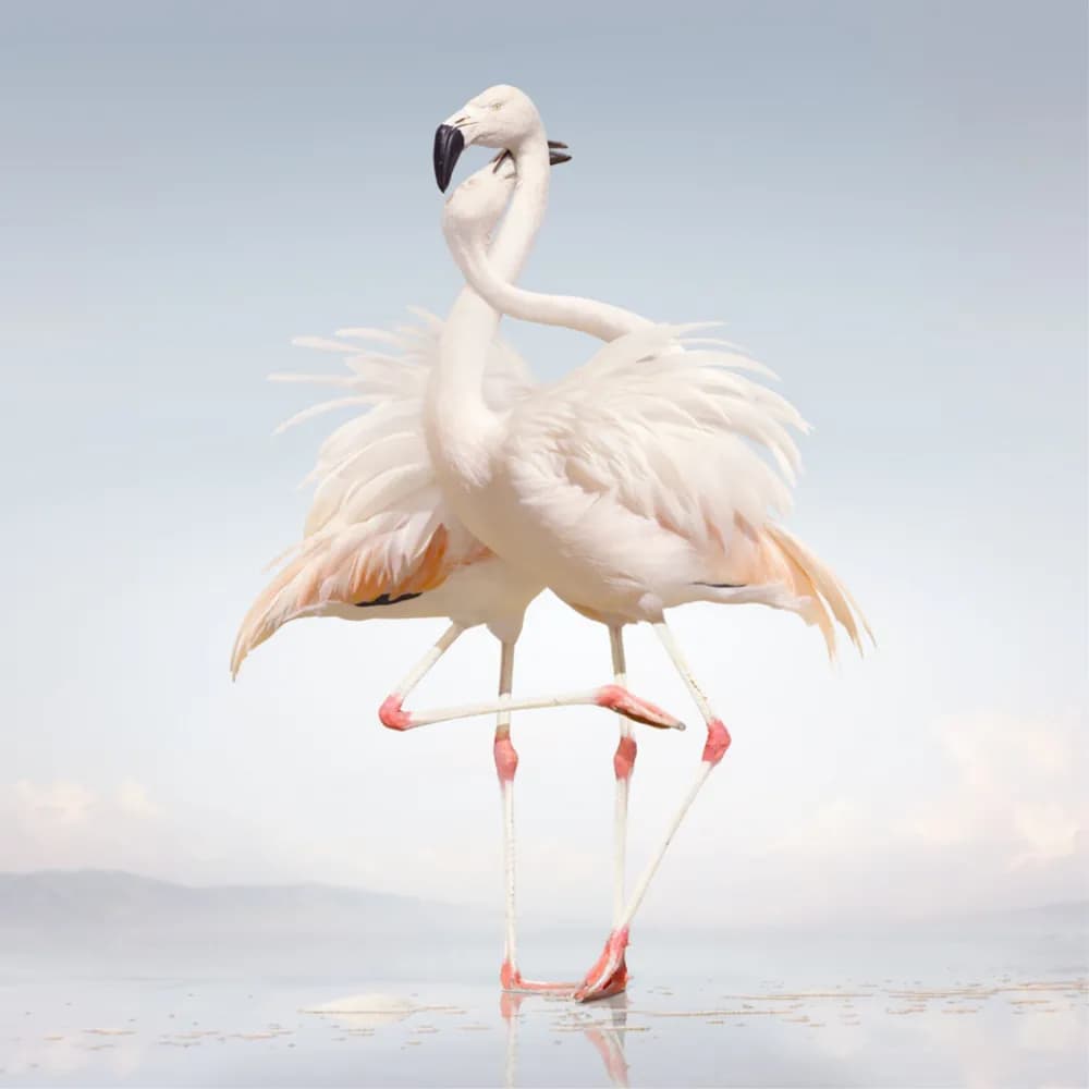 Rustie - Green Language (Vinilo Doble 2LP nuevo) - Miniatura 1 en LEMM DJ Store