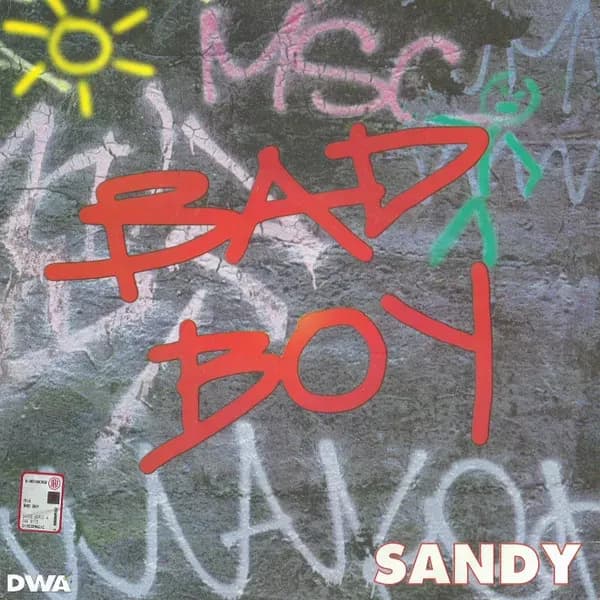 Sandy Chambers - Bad Boy (Vinilo usado VG+) - Miniatura 1 en LEMM DJ Store
