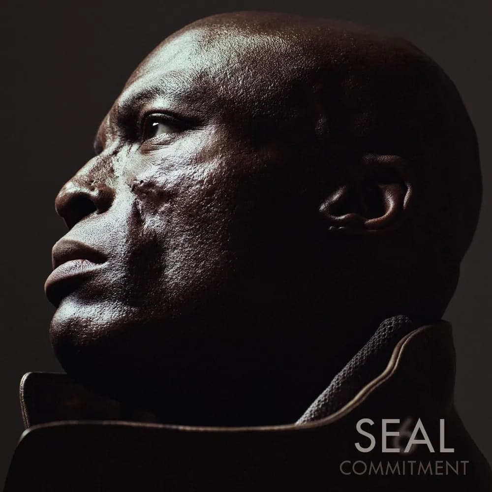 Seal - 6: Commitment (CD nuevo) - Miniatura 1 en LEMM DJ Store
