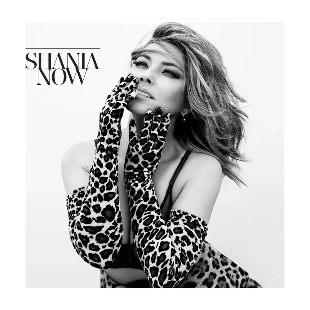 Shania Twain - Now (CD nuevo) - Miniatura 1 en LEMM DJ Store