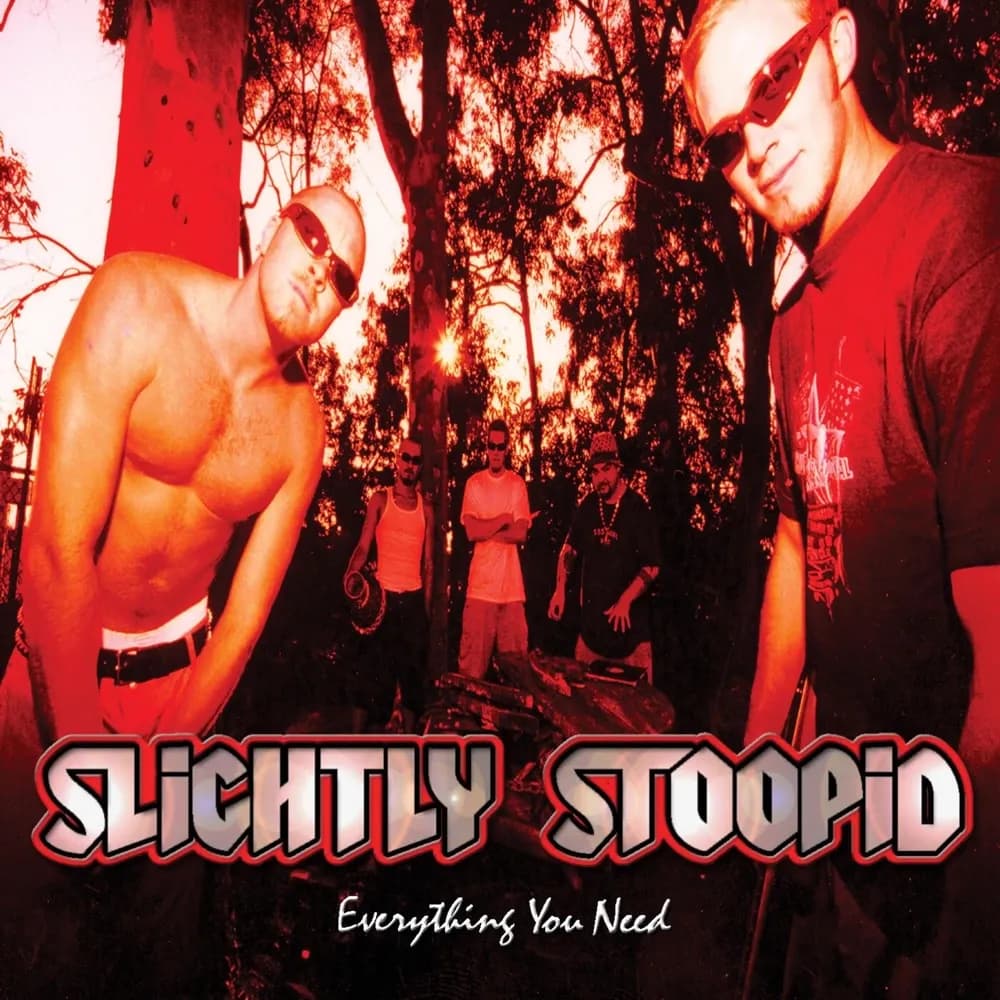 Slightly Stoopid - Everything You Need (Vinilo LP nuevo) - Miniatura 1 en LEMM DJ Store