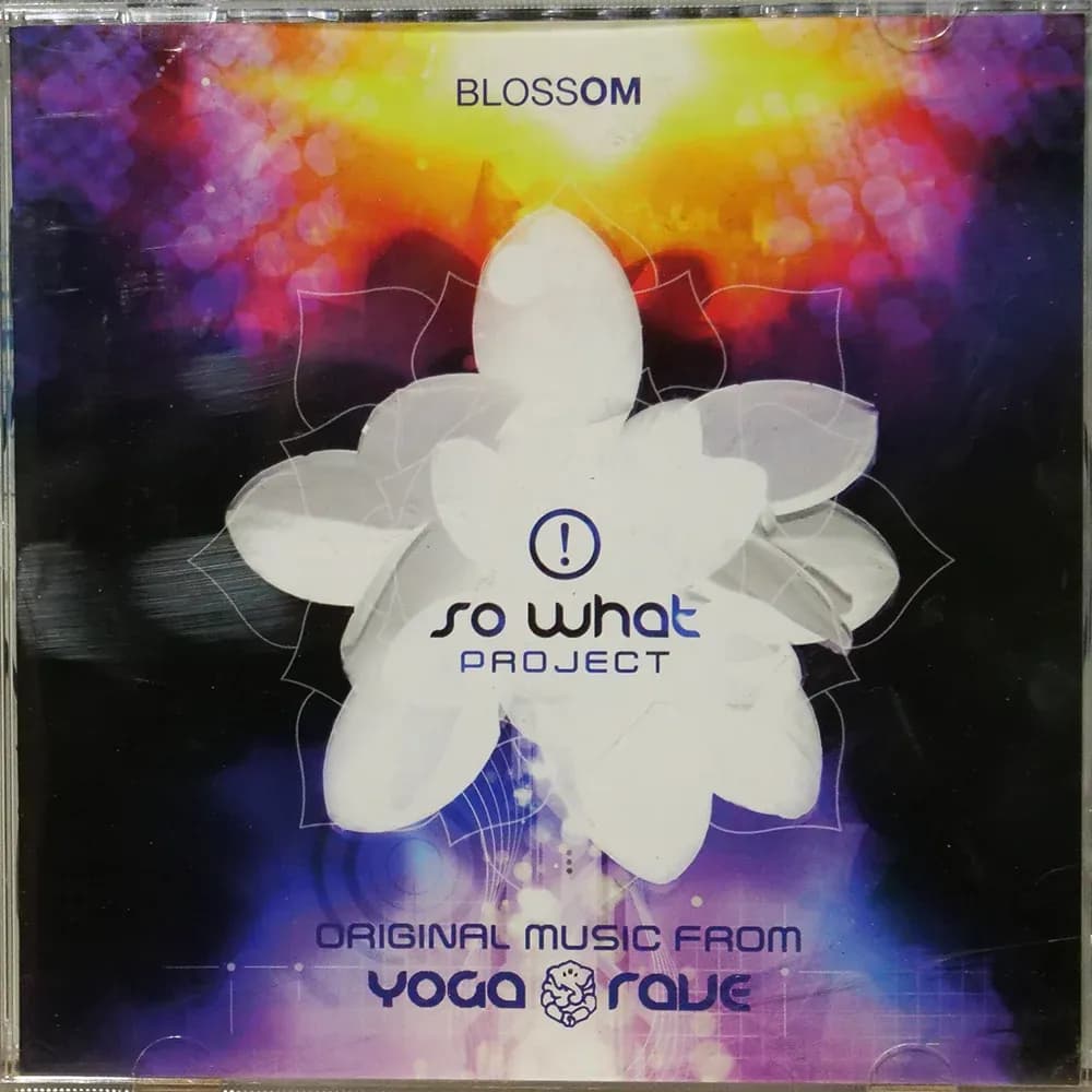 So What Project – Blossom (CD Álbum Usado VG+) - Miniatura 1 en LEMM DJ Store