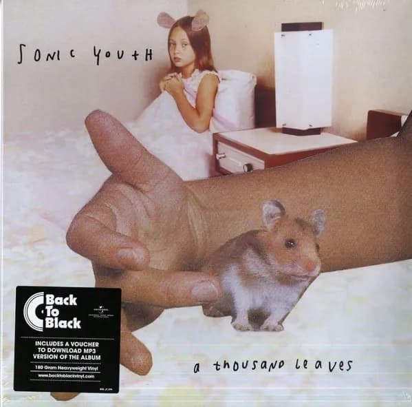 Sonic Youth - A Thousand Leaves (Vinilo Doble 2LP nuevo) - Miniatura 1 en LEMM DJ Store