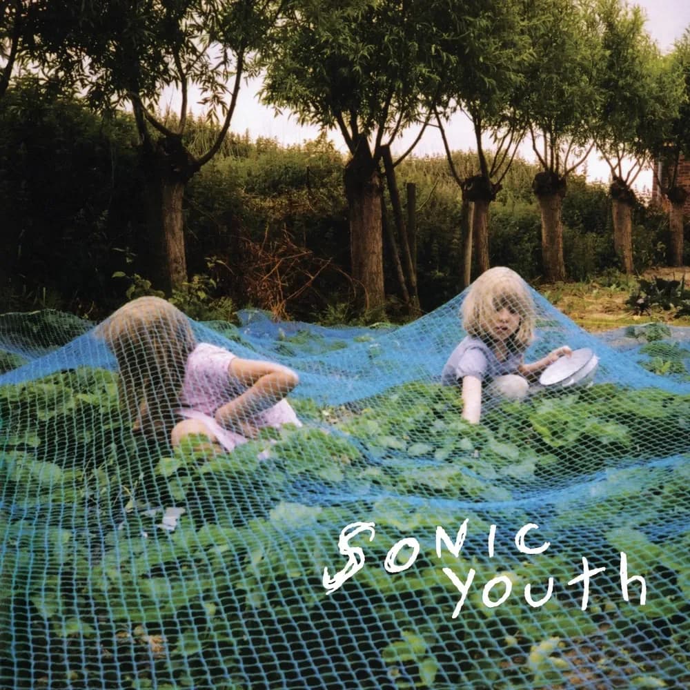 Sonic Youth - Murray Street (Vinilo LP nuevo) - Miniatura 1 en LEMM DJ Store