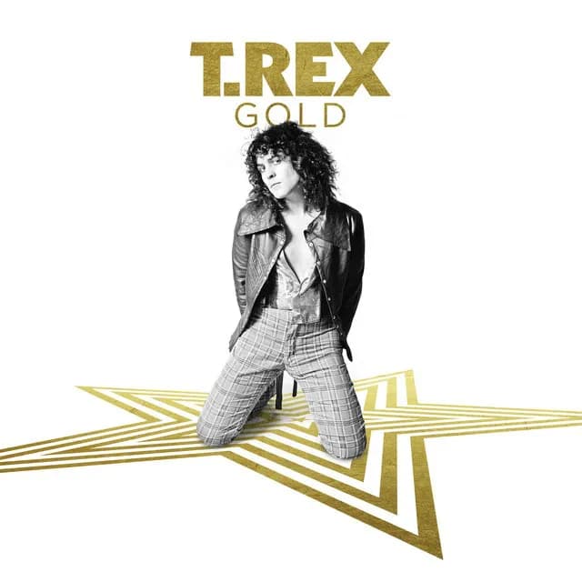 T. Rex - Gold (Vinilo Doble 2LP nuevo) - Miniatura 1 en LEMM DJ Store