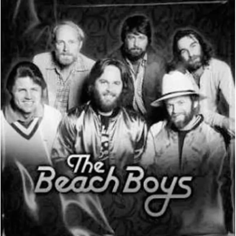 The Beach Boys - The Beach Boys (Vinilo LP nuevo) - Miniatura 1 en LEMM DJ Store