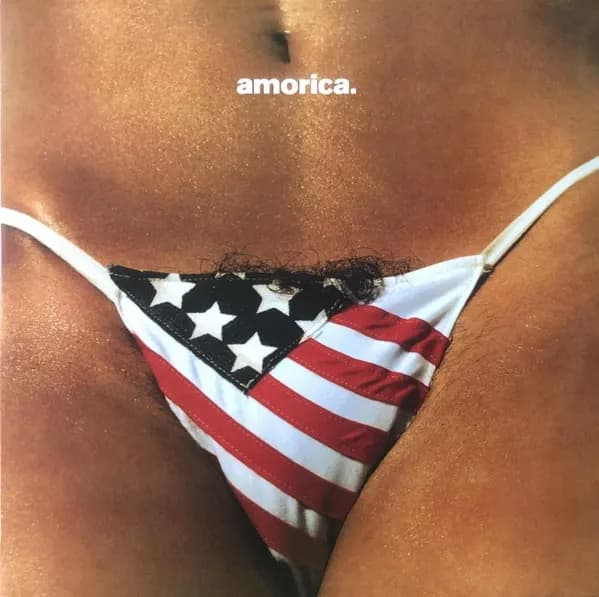 The Black Crowes - Amorica (Vinilo Doble 2LP nuevo) - Miniatura 1 en LEMM DJ Store