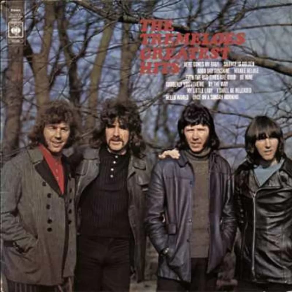 The Tremeloes - Greatest Hits (LP nuevo) - Miniatura 1 en LEMM DJ Store