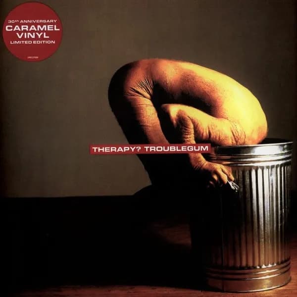 Therapy? - Troublegum (Vinilo LP nuevo) - Miniatura 1 en LEMM DJ Store