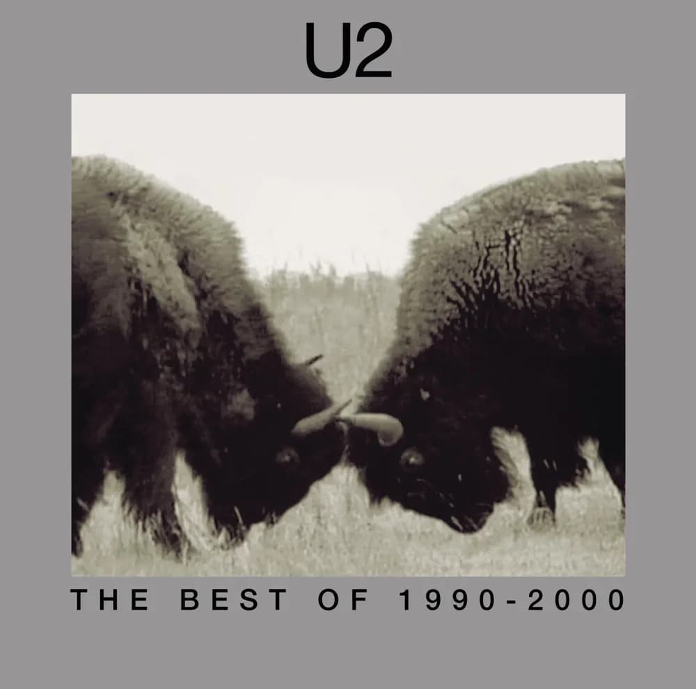 U2 - The Best Of 1990-2000 (Vinilo Doble 2LP nuevo) - Miniatura 1 en LEMM DJ Store