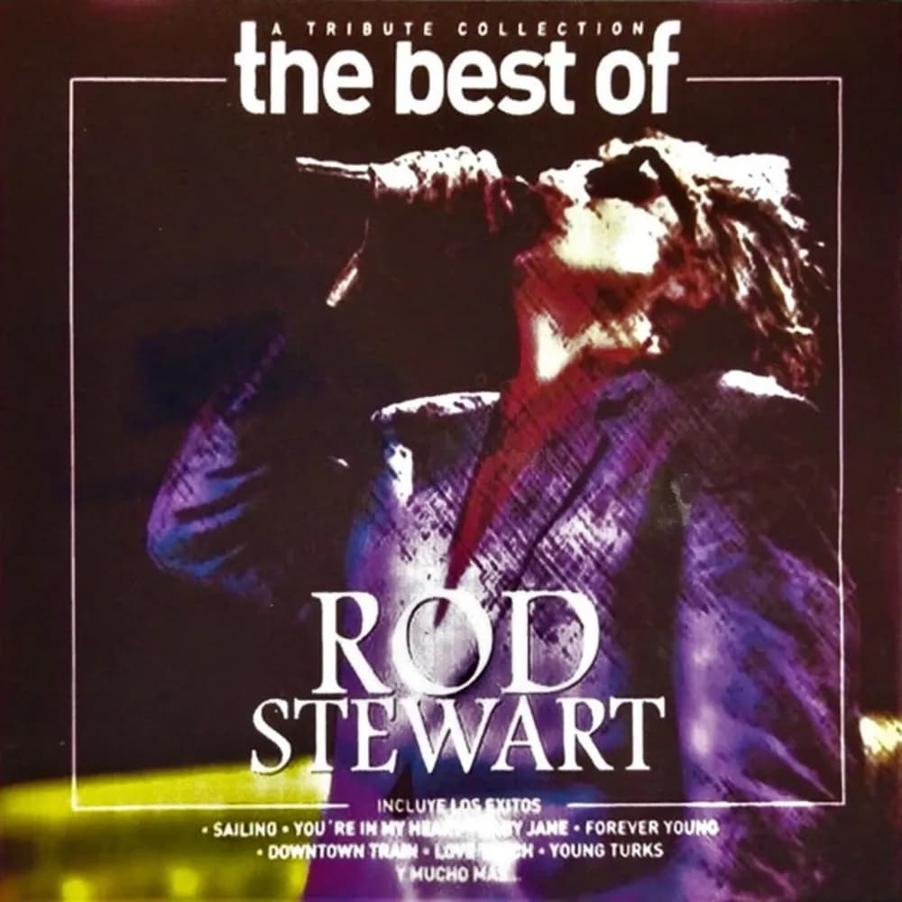 Unknown Artist - The Best Of Rod Stewart (CD nuevo) - Miniatura 1 en LEMM DJ Store