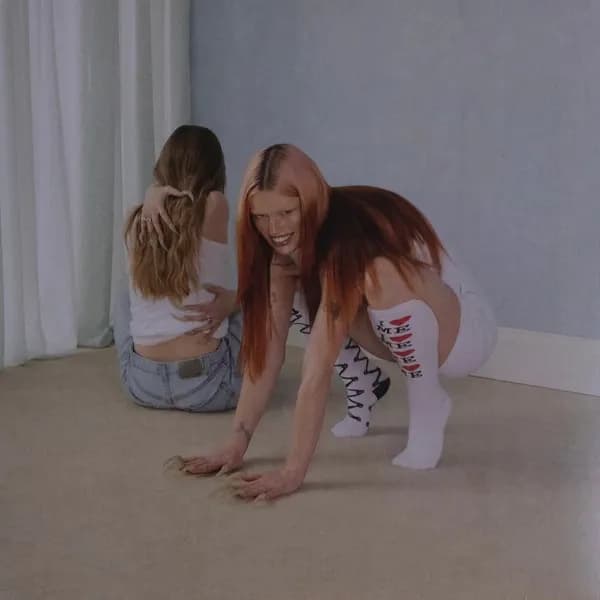 Wet Leg - Moisturizer (Vinilo LP nuevo) - Miniatura 1 en LEMM DJ Store